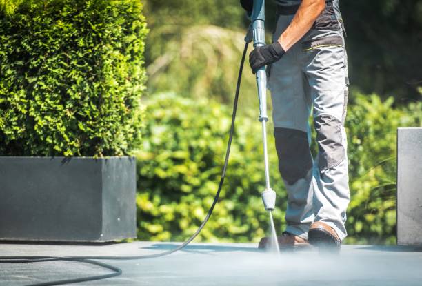 Best Soft Washing  in Dade City North, FL