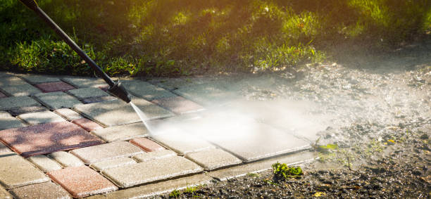 Best Roof Washing  in Dade City North, FL